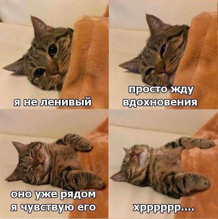 ������ ����, ��������������