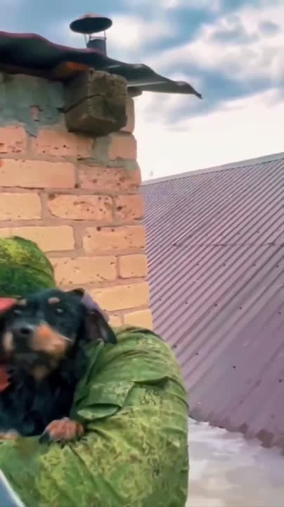 �������� ������ �� ����� ����������� ���������� � ��������� ���������