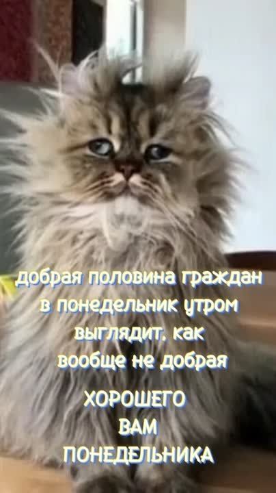 #������������