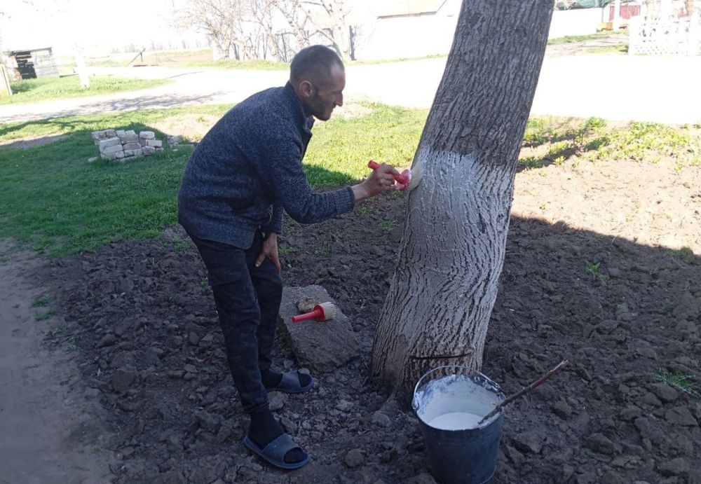 � ������������� ������������� ������ ��������� ���������