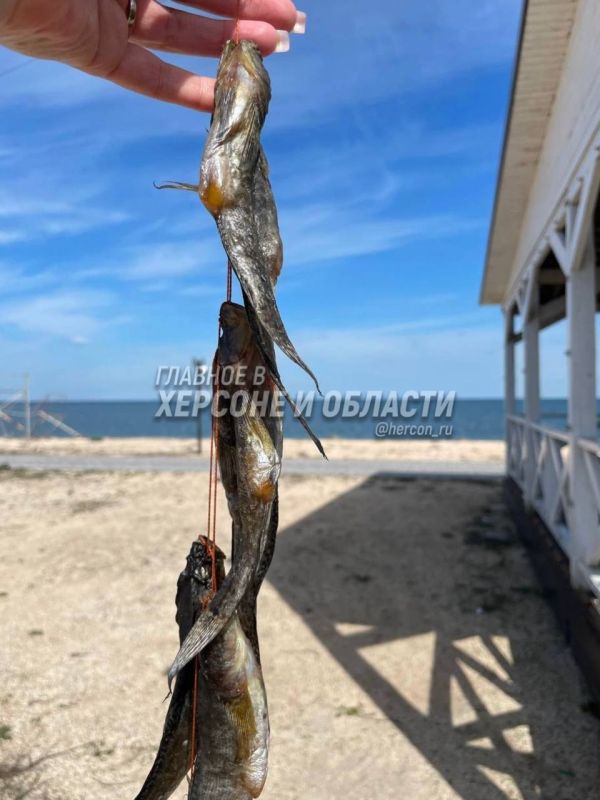 ��� ��������� �������� ����������� � ���� ���������� ����������� �� �������