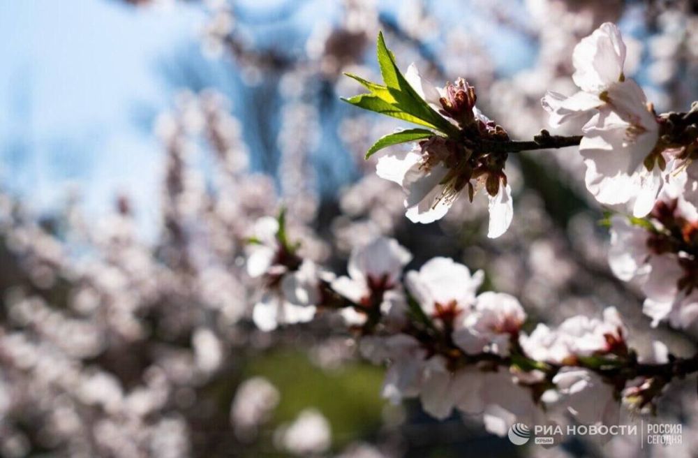 ������ �� ����� ����������� ������