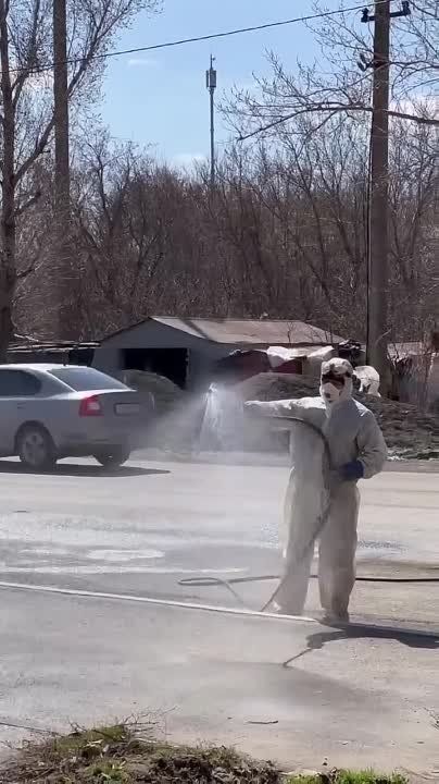 ��������� ������������ � ������������ ����������� �� �����������, ���, ��������� � ����������� ������������ � ���������� ����������� ������� � �����