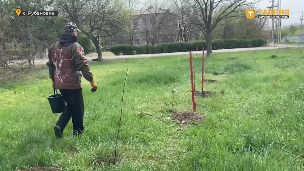 � ����������������� ������ ������� ��� "��������" ������ ������� � ����� �� ������� ��������