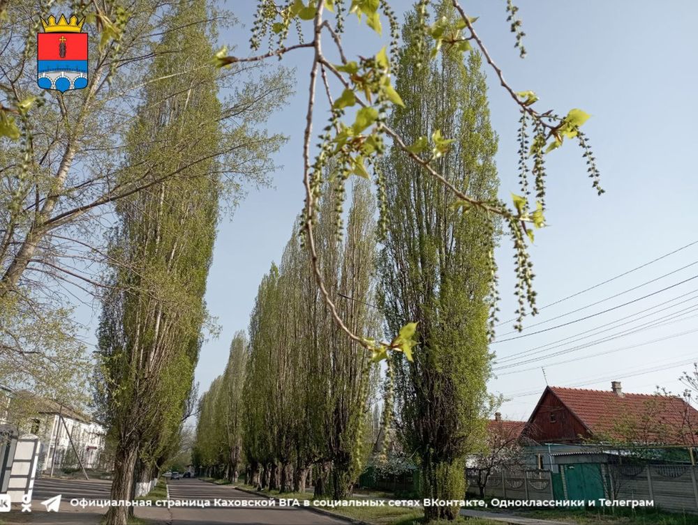 ������ ����, �������!. @VGA_Kakhovka