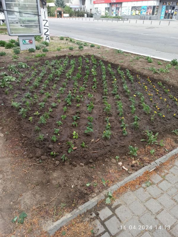 ��������� ��� "������������� ������������ ������" �������� ����� �� ������� ����������� ���� ����� �������