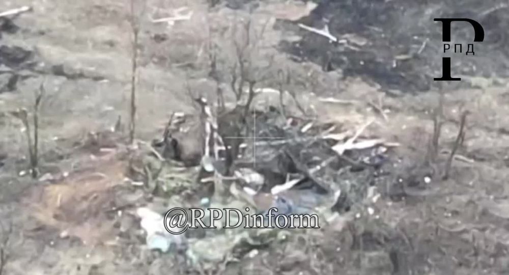 ����� � ���� ����������