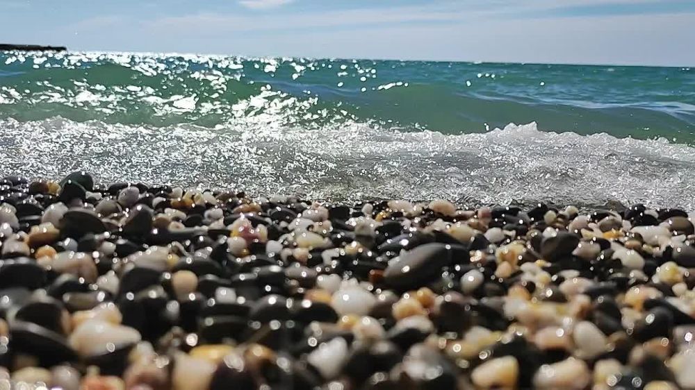 ����������� � ����� ������� ������� ������������ � ��������� ������ �����������