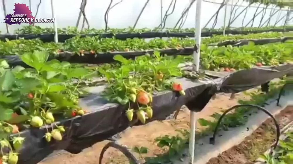 ��� ����� �� ���������� �������� ������� � ������ �������� � ������ �� ������ ��� ������ � ��������