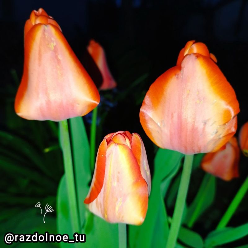 ����������!. � �� ����� ������. �����!