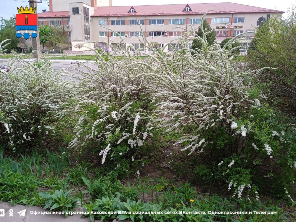 ������ ����, �������!. @VGA_Kakhovka