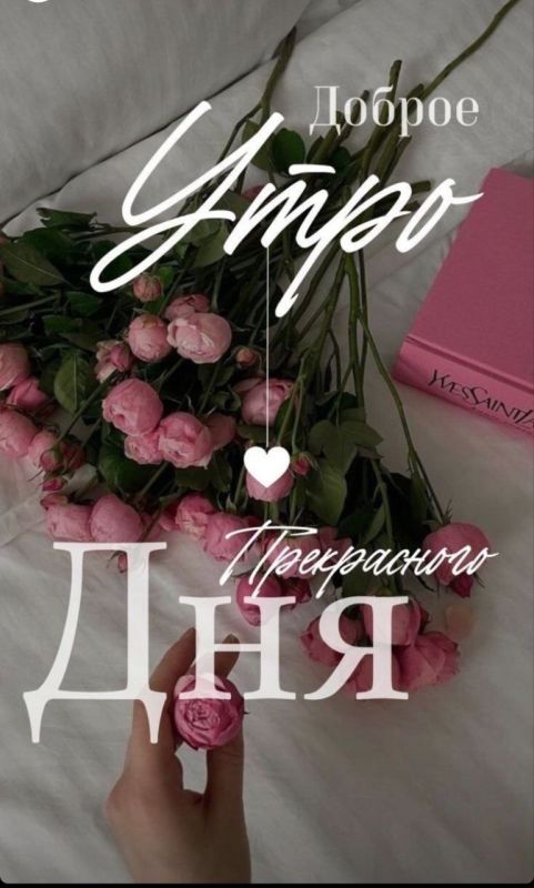 ������ ����. ������� ���� ����� �������� - � ������ ���� ���� � ������� ��������� ��������, ������� ����������� �� �������� ������. ��� �������. ����������� �� +15 ����� �� +24 ���