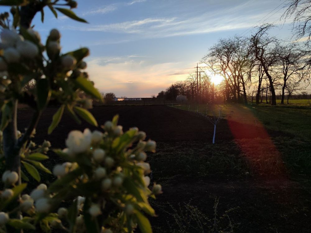 ����, ��� ������� �����, ���������� ���