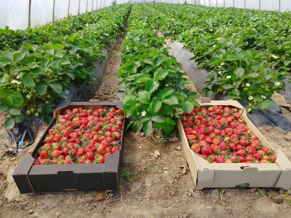 � ������������� ��������� ������ ���������� ����� ����� ��������