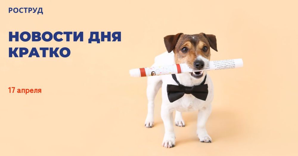 � ���� ���� "��������� �������" ����� ����� �������� �� ������������ ������ ������� ������