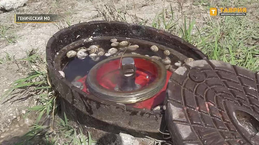 � ���������� ������ ���������� ��� ������ �� ���������� ������� �������� �������� �������� �������� ���������