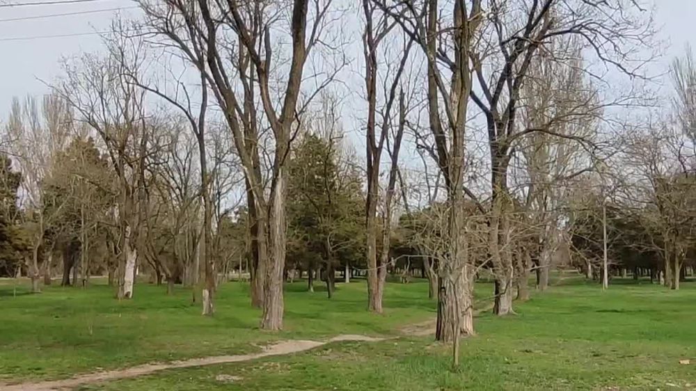 ��������� �����: � ���������� ������ ������������ ����������� � ������ ������������ ������� ������������� ���������� ��������� ������