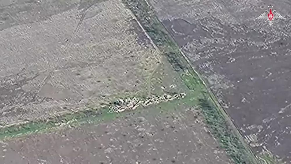 ������������ ���������������� ������ �����-10� ������ ���������� �� ����������� �����������