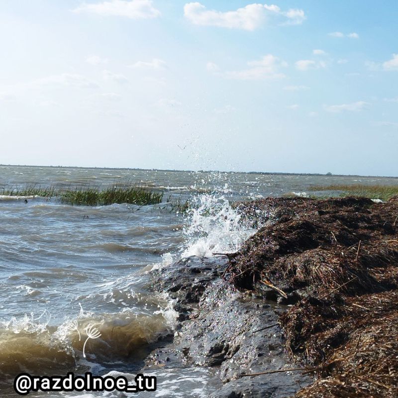 ����������!. ������ ���� �������