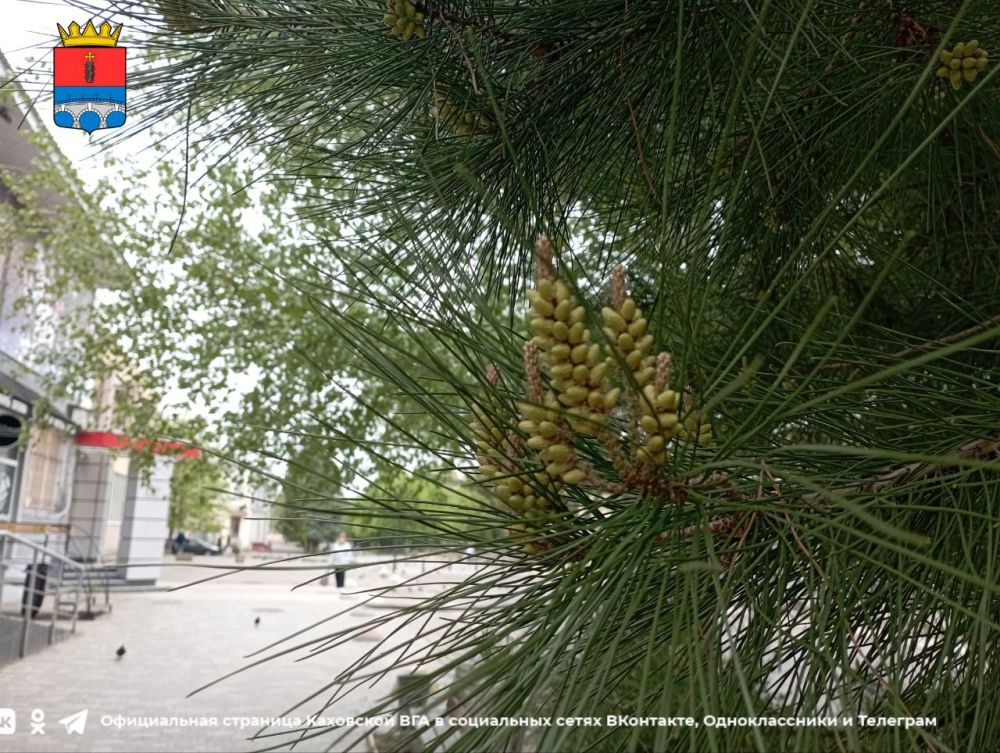 ������ ����, �������!. @VGA_Kakhovka