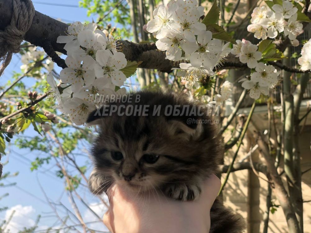 ����� � ����� ������� � ��������� �������� � ������� � ������� ��������� � ���� ������������ ������ �������