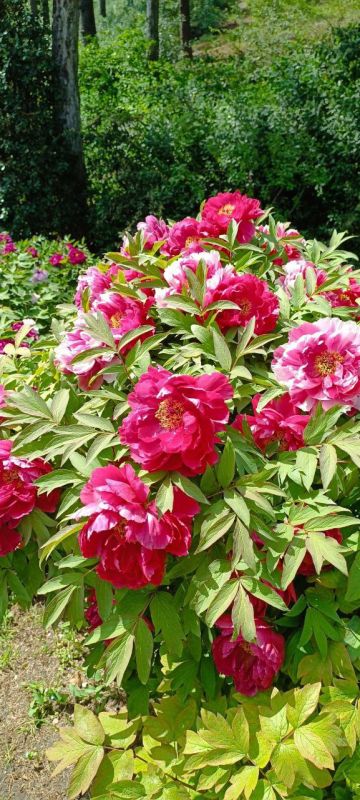 ���������� ��� ����, �����������!