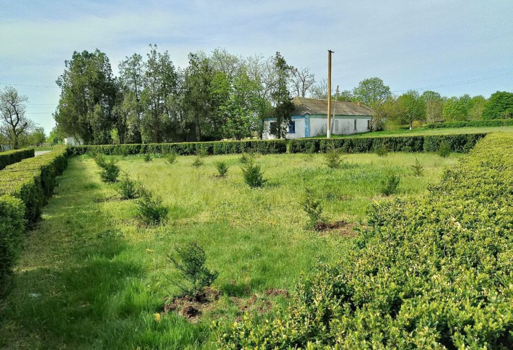 ���������� ���������� ��������-������������ ����������� �������������� ������