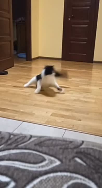 �������� �������!. #������������