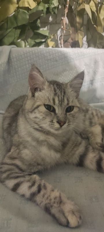 ������������� ����� ����� ���� ����� ����� ������� ����� ������� ���) ���� ����� ��������� ����� �� ����������