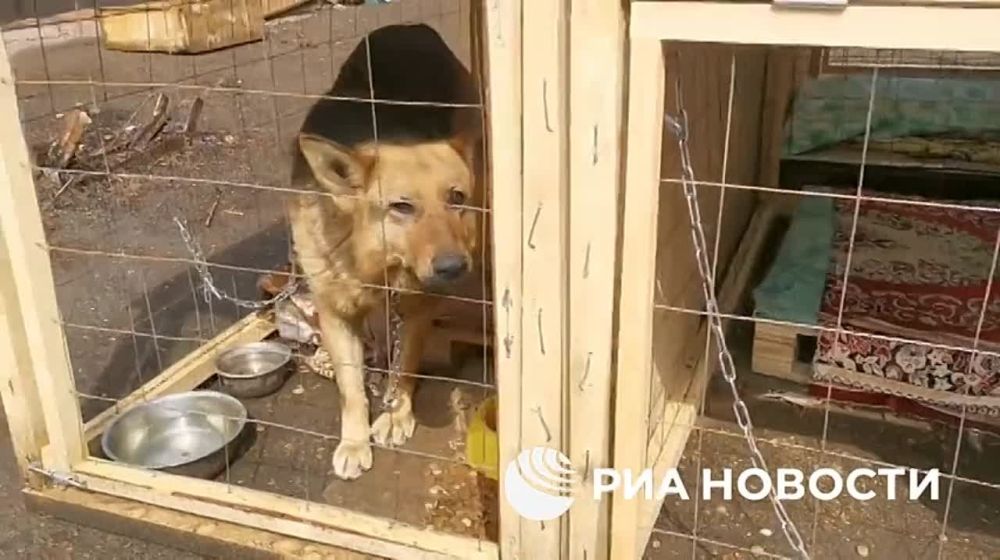 � ������������ ����� ���������� ���������� ��������, ������� ������ �� ���� ���������� � �����, �������� ����� 200 ����� � 120 �����