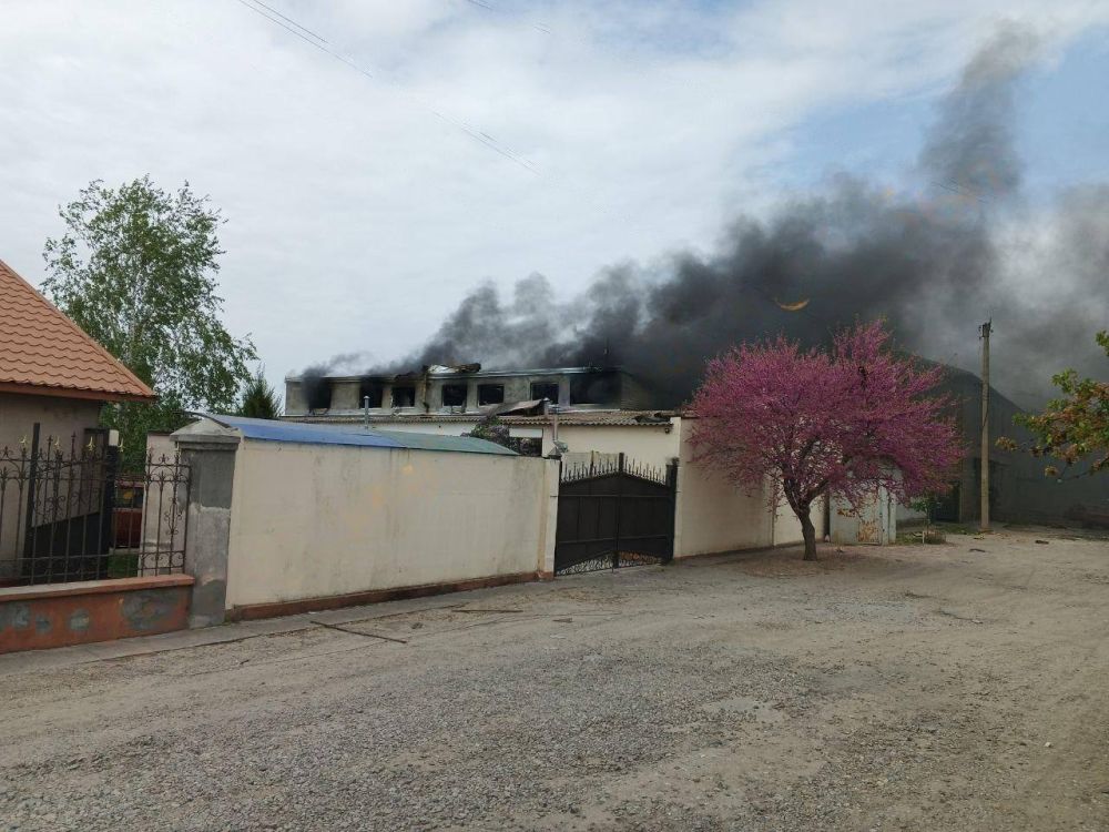 �������.... ���� �� ����