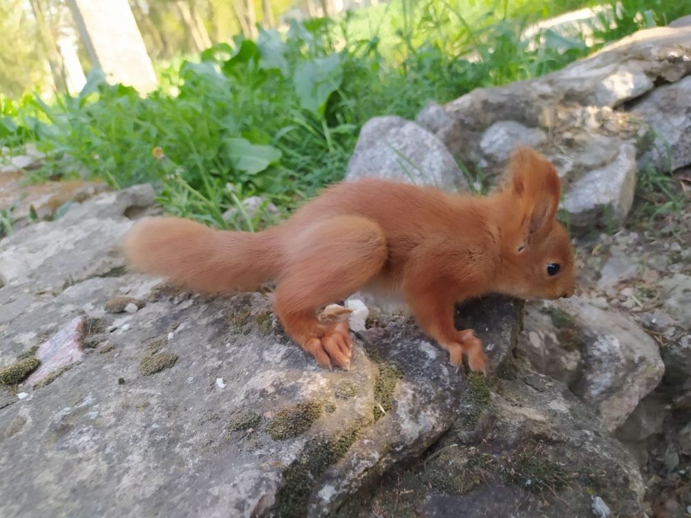 ������ ����, ������!. ��� ����� �������� ������� ���� � ���������� �������������. ������ ��� ����� ���������? �������...