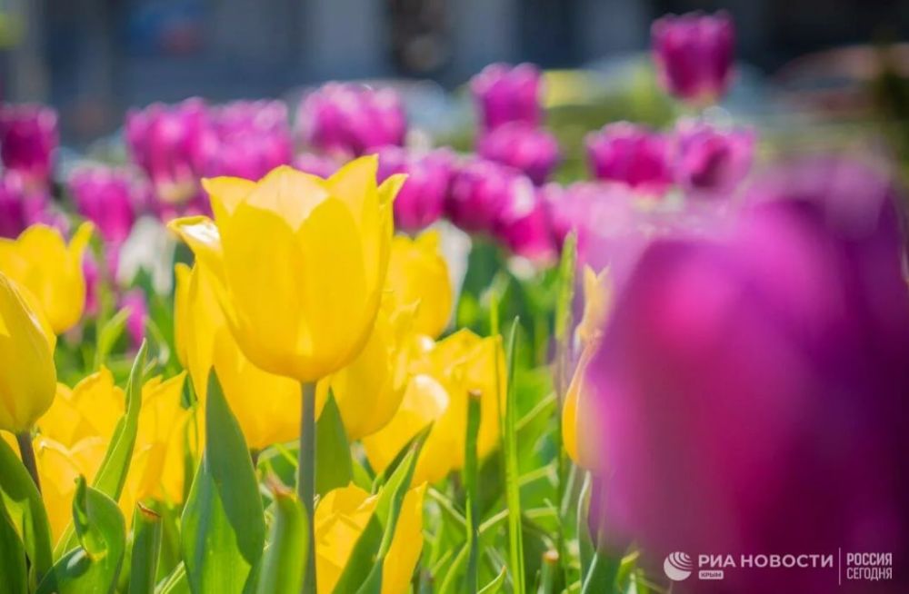 ������ �� ����� ����������� ������