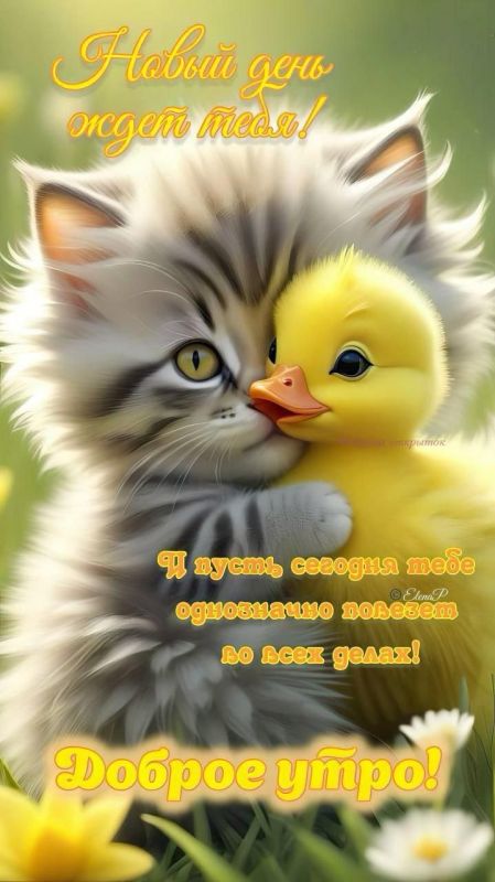 ������ ����. ������� �� ���������� ����� ��� ���� � ������� ����� ������� ��������. ����� ����� ���� �����, ������� � �������� ��� ������ ��������� � ����� ��������� ����� �����������. ����������� �� +12 ����� �� +21 ���