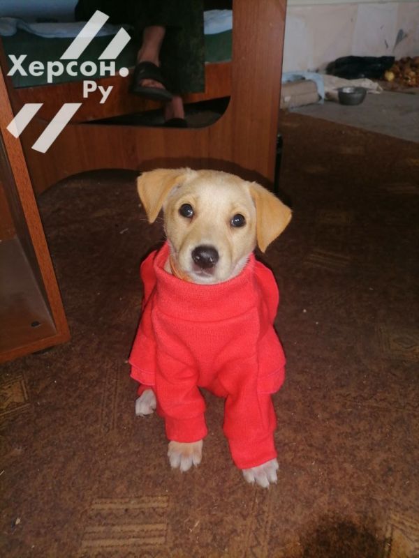 ���������� ����� ������ ���� � ����� ������