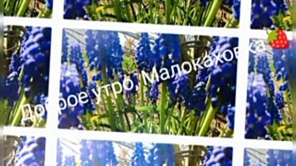 � ������ �����, �����������!