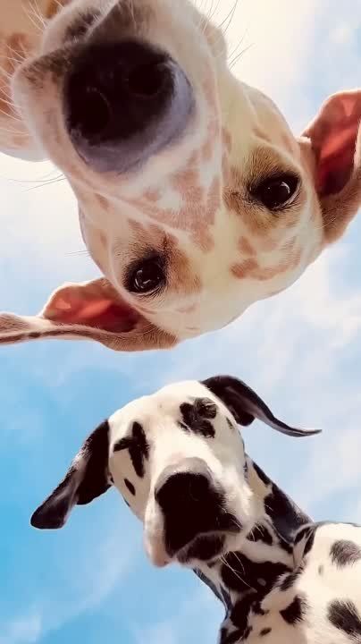 ��, �� ���, �� �������!