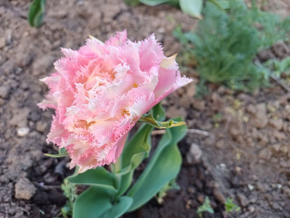 ������ ����, ��������� ������ ���������� ������!