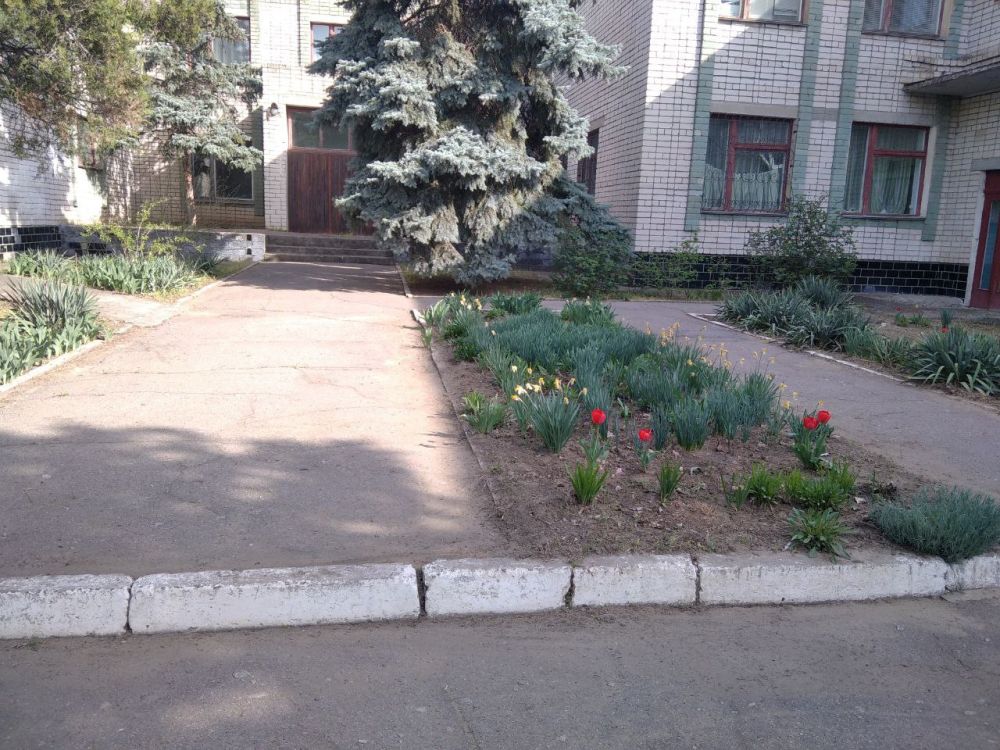 ��������� ������������� ����� �������� ������������ � ������� ����������� ����������