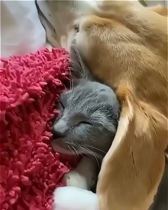 ������ ����. ������ ����������� �� ���� ����� ������ ����������� � ������� ����� ���� ����, ���� � ������ ������ ����������. ��� �������. ����������� �� +7 ����� �� +15 ���