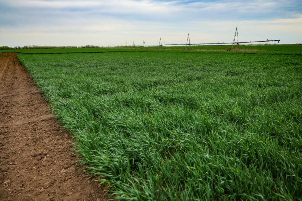 ������ ����������: ����� ��� ����� ������� �� �������� ���������������� �������������, �� � ��� ���� ������ �����