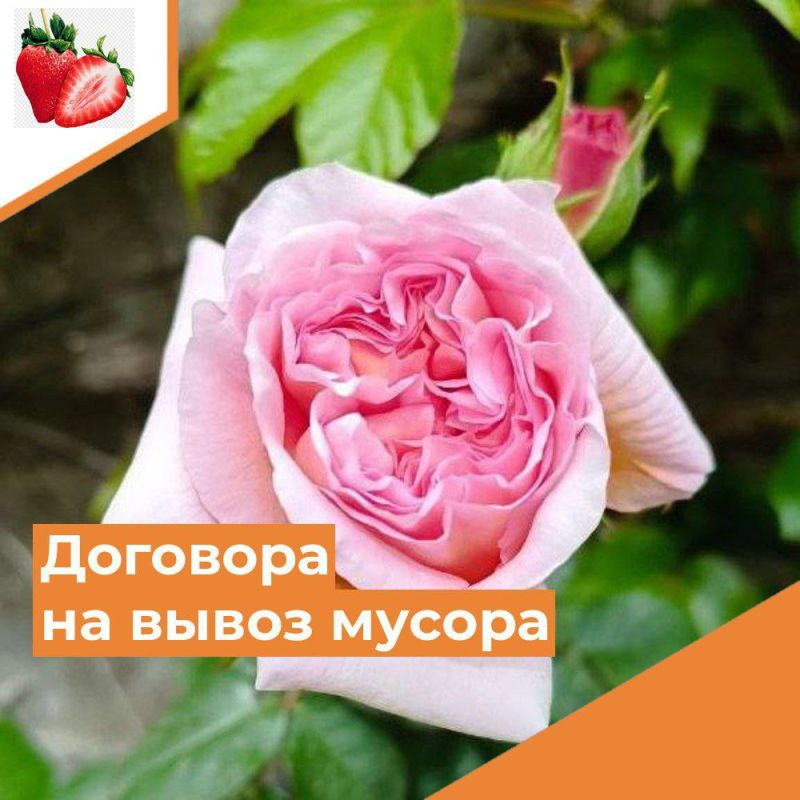 ������ ����, ��������� ������ �����������!