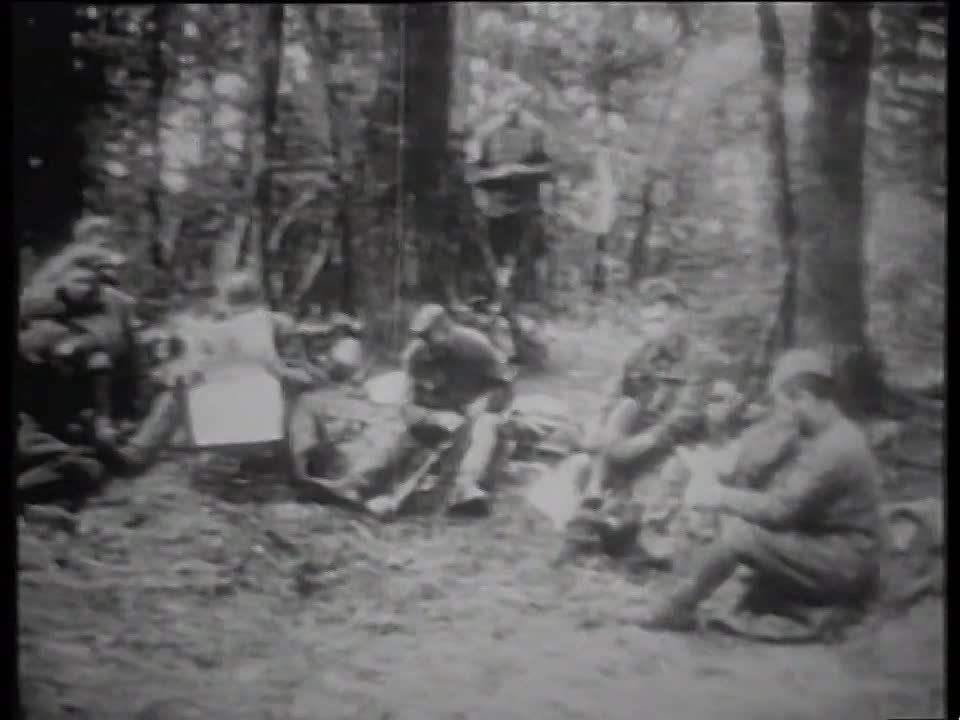 �����, ����� �����������, ������� ��� �����