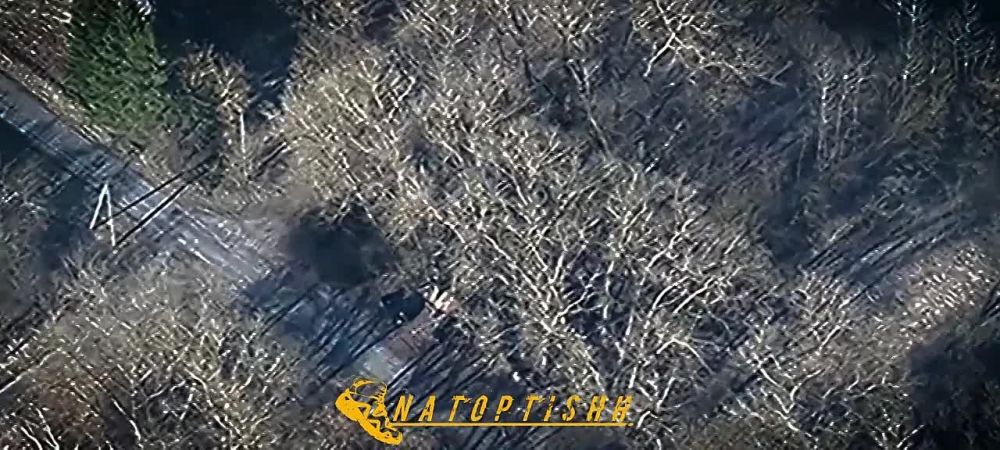 ������������ ���������� ������� ������� ��������� ���� ����� � �������� ������ � ������������ ������