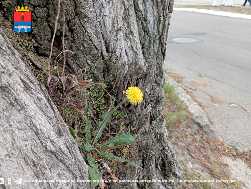 ������ ����, �������!. @VGA_Kakhovka