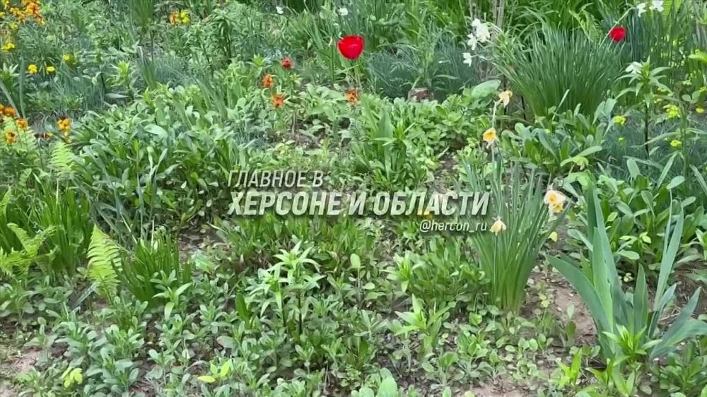 ������ � ���������� � ����� ������� ������������� � �������� �����