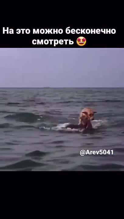 ������� ������ ������ � �������������� � �����