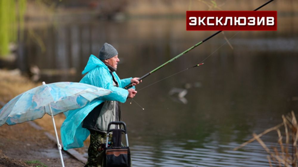 ��������� ���������� ������������ � ��������� �-1 ����� ���