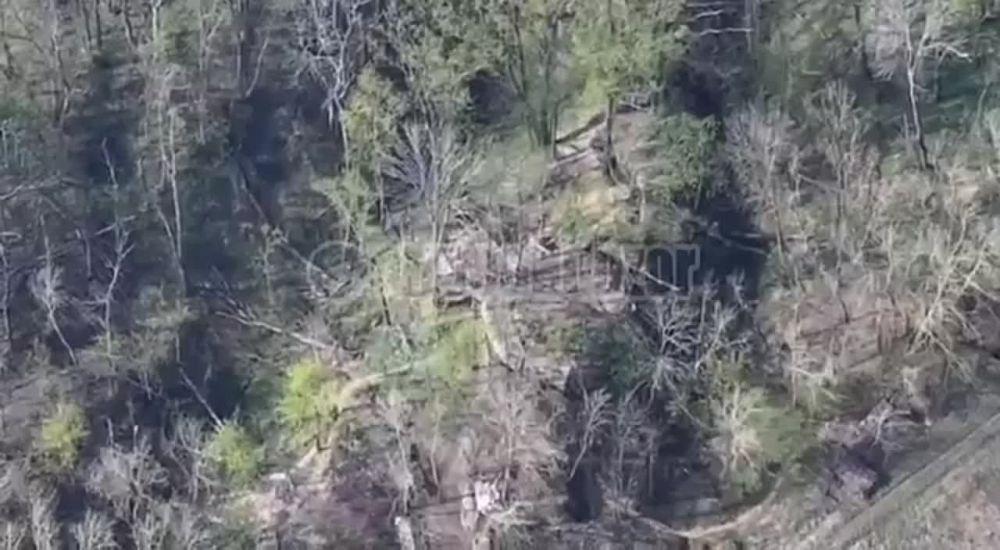 �������� � ����������� �������� ������ ��� � ����� �� ������������ ������� ����������� ������� ����������� �����������...