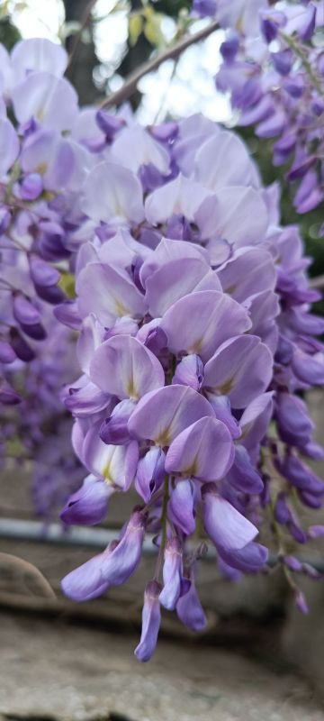 � ������ ����� �����������!